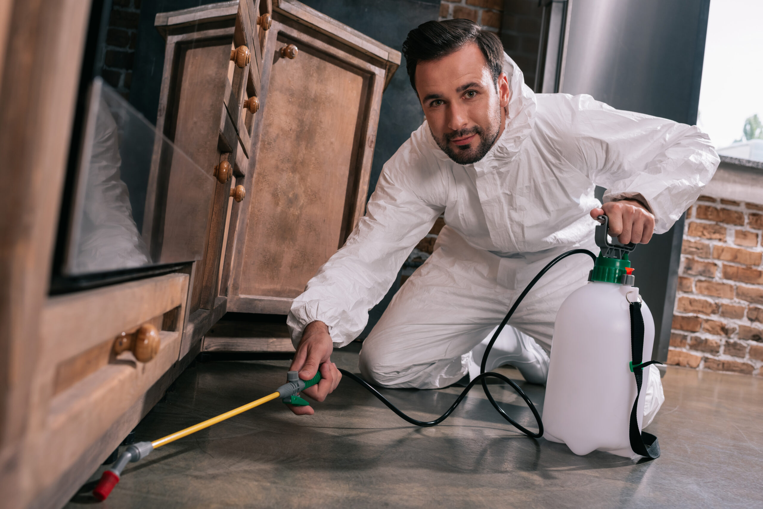 Keep Your Hanover, MD Home Pest-Free Year-Round
