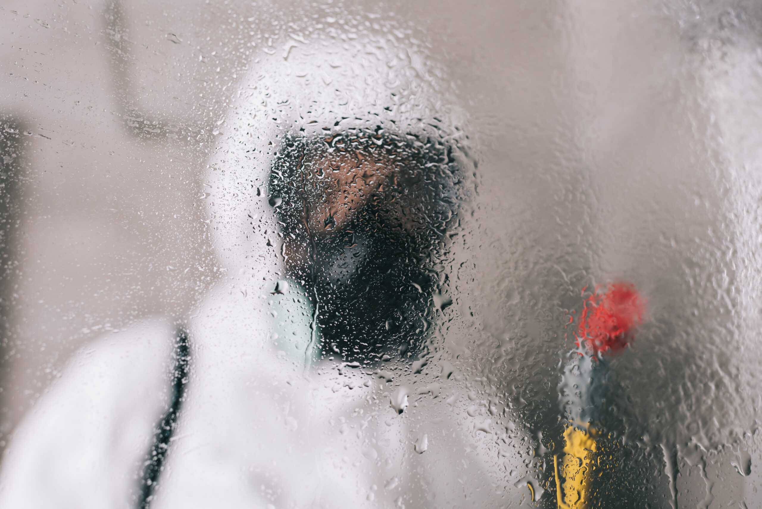 Premier Pest Control Service in Maryland: Bug Squashers