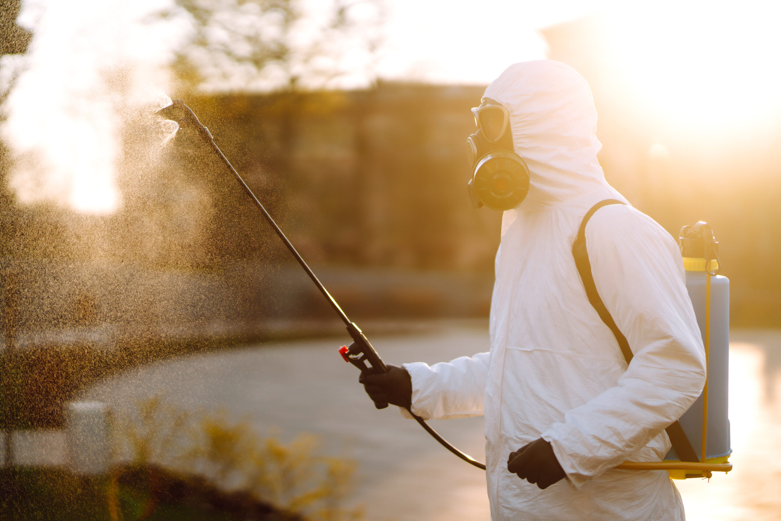 Ultimate Spider Control Guide for Maryland Homeowners